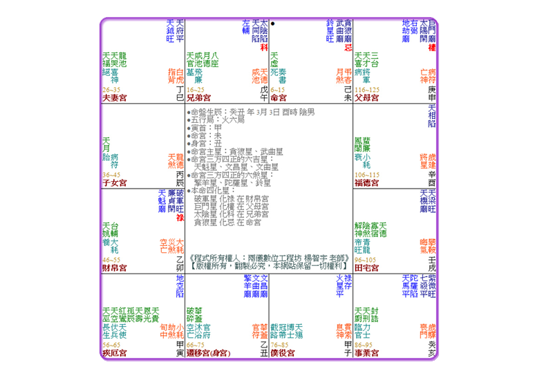 朱江治的紫微斗數命盤圖